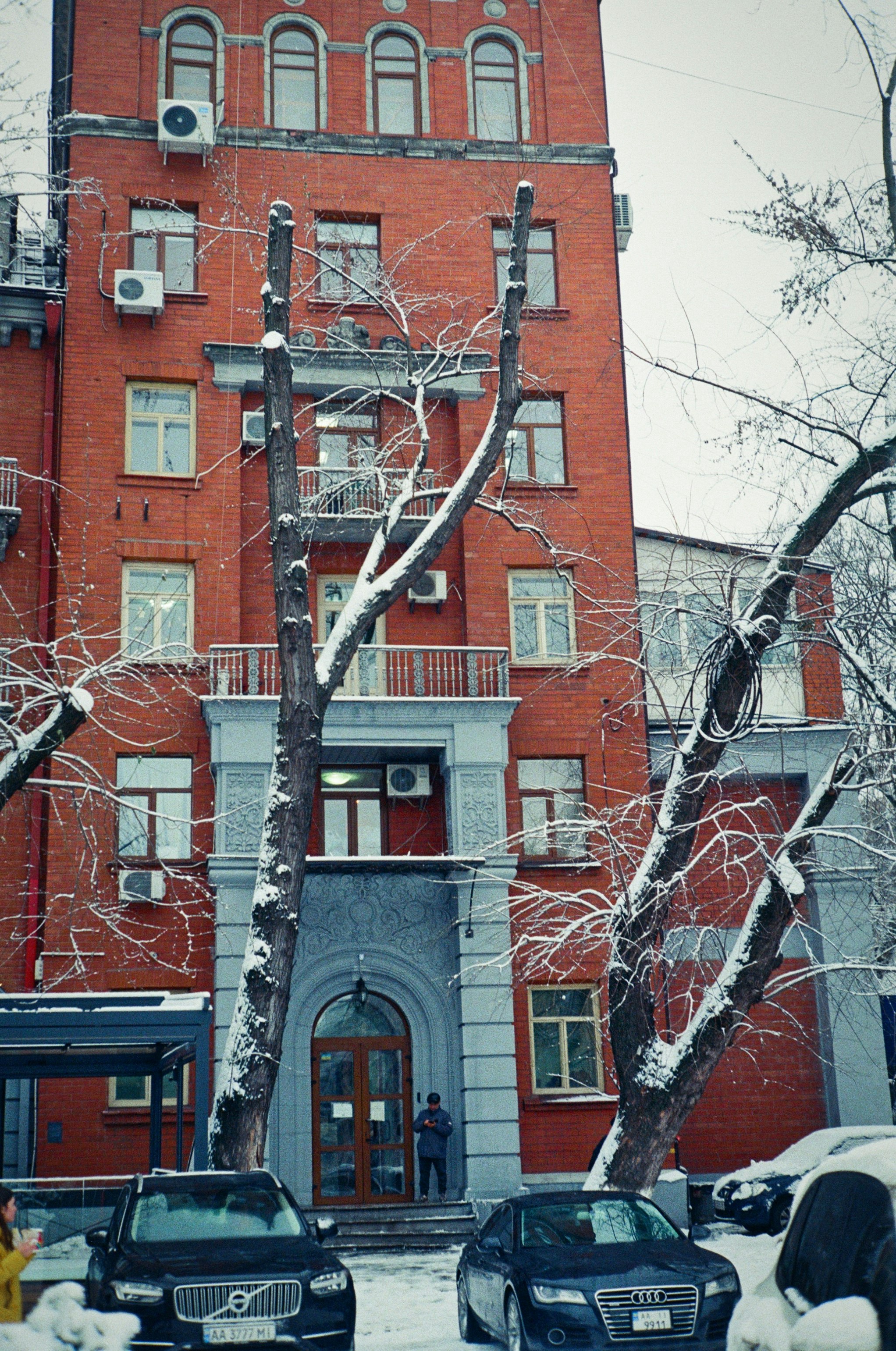 leafless tree near brown concrete building